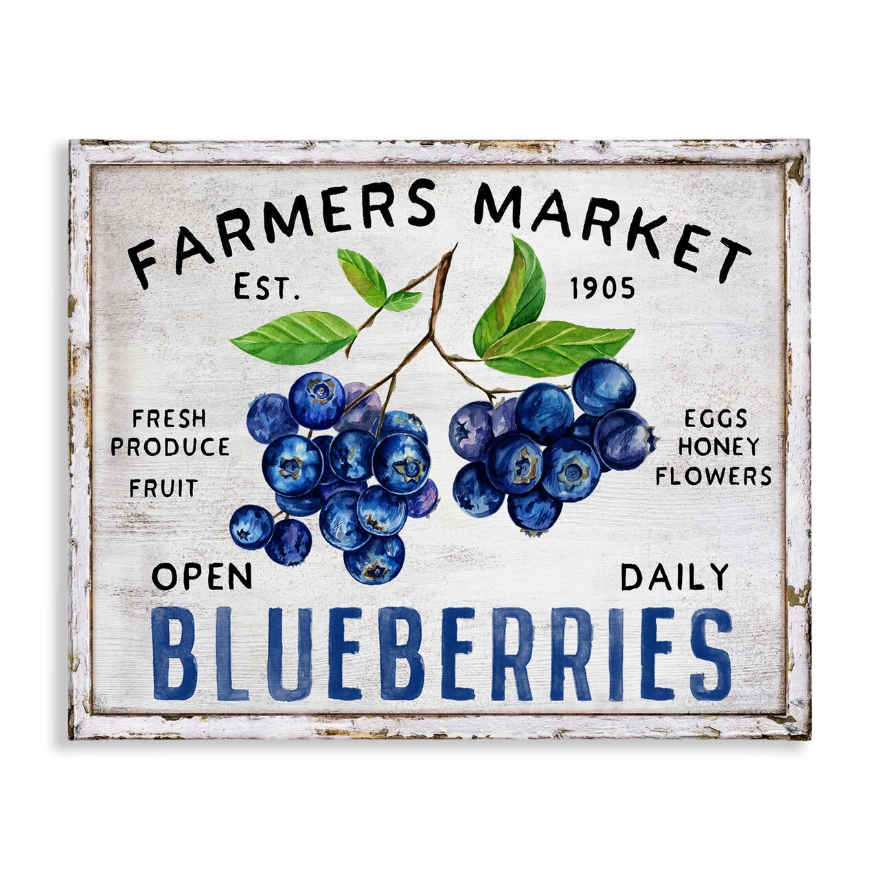 Stupell Industries Farmers Market Blueberries Canvas Wall Art Design by Creatif Belle